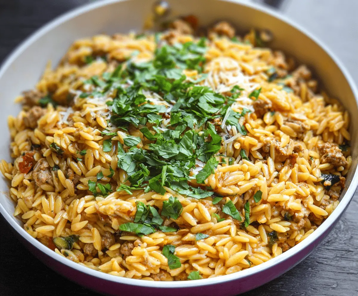 Easy and Delicious Ground Turkey Orzo Recipe