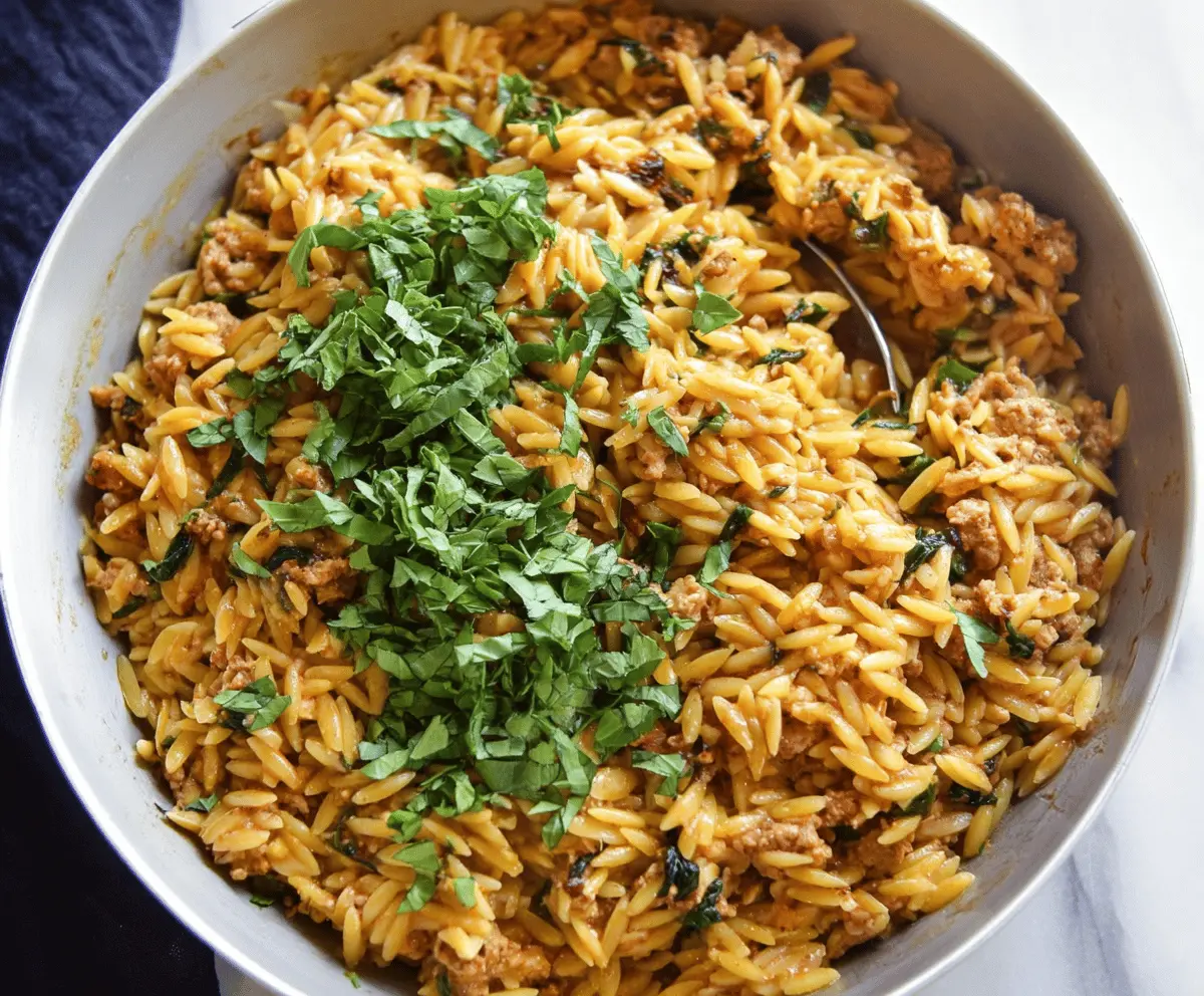 Delicious ground turkey orzo pasta dish with fresh herbs and vegetables, perfect for a healthy and flavorful meal